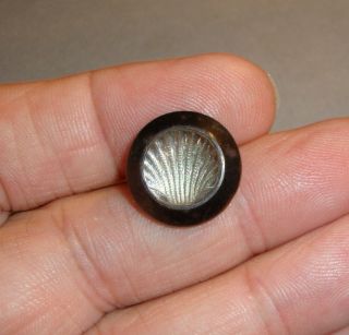 Antique Brass Button With Glass Scallop Or Clam Shell