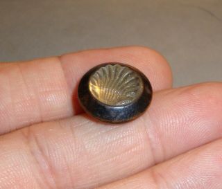 Antique Brass Button with Glass Scallop or Clam Shell 2