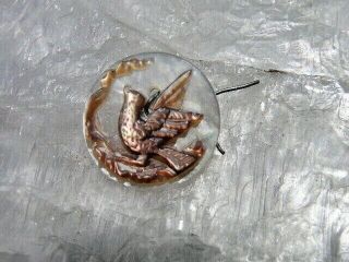 Antique Mother Of Pearl Button With Carved Shell Bird On Branch