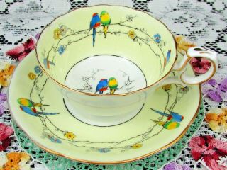 Rare Paragon Hand Painted Birds On Floral Branches Tea Cup And Saucer