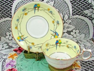 RARE PARAGON HAND PAINTED BIRDS ON FLORAL BRANCHES TEA CUP AND SAUCER 2