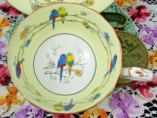 RARE PARAGON HAND PAINTED BIRDS ON FLORAL BRANCHES TEA CUP AND SAUCER 4