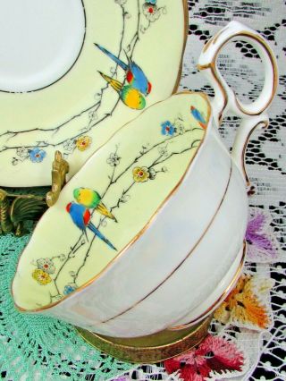 RARE PARAGON HAND PAINTED BIRDS ON FLORAL BRANCHES TEA CUP AND SAUCER 5