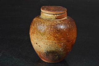 S7549: Japanese Shigaraki - Ware Youhen Pattern Tea Caddy Chaire Container,