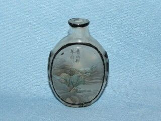 Vintage Chinese Snuff Bottle Reverse Painted Signed