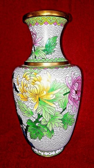 Antique Chinese Cloisonne Vase W/white Background.  D 6 " X H 10 1/2 "