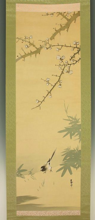 掛軸1967 Japanese Hanging Scroll : Seiho " Ume Tree And Wagtail " @b897