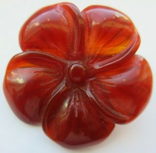 Incredible X Large Antique Vtg Carved Agate Stone Button Realistic Flower (m)