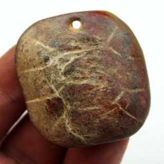 V225 Ancient China Hongshan Culture Old Jade Turtle Shell Amulet Pendant 1.  8 "