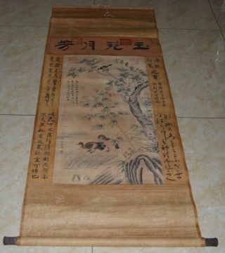 China Qing Dynasty Old Hanging Scroll Painting " Bird Flower " Royals Painter郎世宁 2