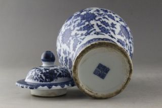 Fine China Hand Painted flower Blue and White Porcelain vase & Jar 5