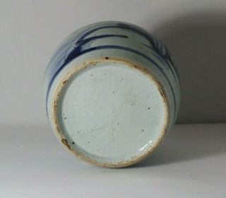 Antique 19thC Chinese Blue & White Porcelain Ginger Jar 6