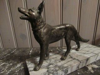 French Antique Regule (sort Of Bronze) Dog On Marble Base