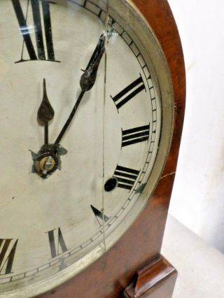 American Burled Walnut 8 Day Striking Shelf Clock Circa 1870 5