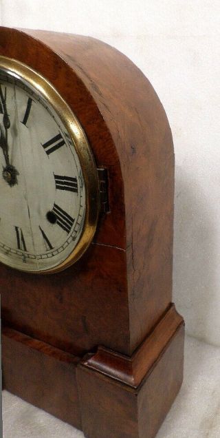 American Burled Walnut 8 Day Striking Shelf Clock Circa 1870 8
