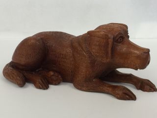 Wood Dog Sculpture Hand Carved Figurine Black Forest Chocolate Labrador 11 "