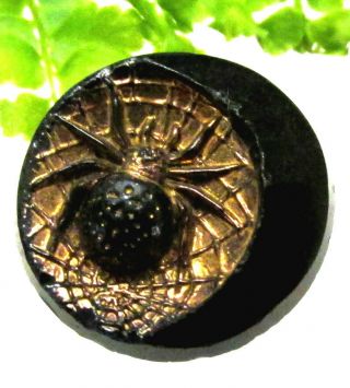 Wonderful Victorian Gold Luster Glass Spider & Crescent Moon Button A1