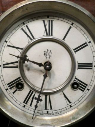 Carved American Waterbury 8 Day Striking Walnut Parlor Clock - - Circa 1880 4