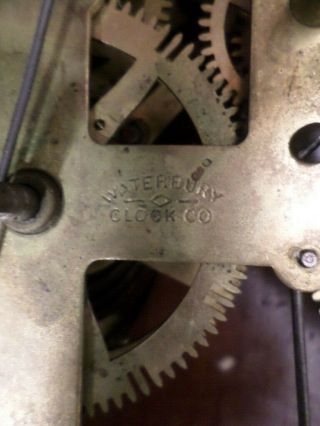 Carved American Waterbury 8 Day Striking Walnut Parlor Clock - - Circa 1880 7