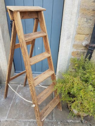 Vintage Step Ladders Striped Pine