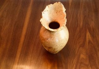 Cool L Hasiak Hand Carved Spalted Maple Burl Wood Vase / Rare Form / Signed