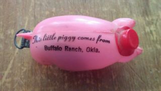 Celluloid Pig Tape Measure From Buffalo Ranch Oklahoma Made In Japan