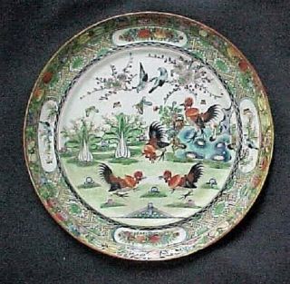 Antique Chinese Famille Verte Or Rose 9 5/8” Plate C1800s Garden & Rosters