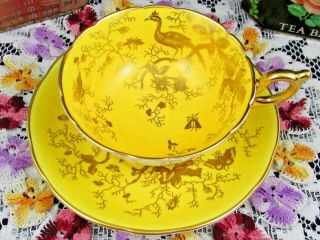 Coalport Cairo Bird Bright Yellow Gold Gilt Wide Tea Cup And Saucer