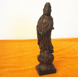 Hand - Carved Chinese Agalloch Eaglewood Wood Antique Bodhisattva Statue Guan Yin