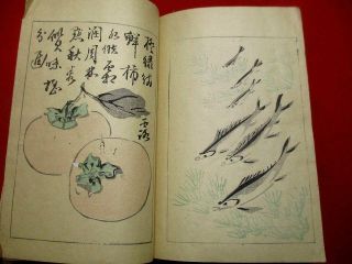 1 - 5 Rangai Japanese Ehon Woodblock Print Book