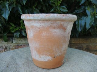 Rare Old Vintage Terracotta Plant Pot 10 " Diameter (499)