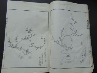 Antique Japanese Woodblock Print Book - Ikebana Kado - Flower Arrangement