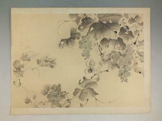 Antique Chinese Or Japanese Painting On Paper Of A Spider