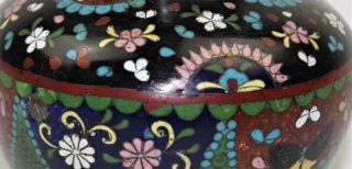 Antique 19thC Japanese Meiji Enamel Inlay Cloisonne Ginger Jar Vase Koro Censor 4
