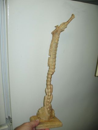 Handmade Wood Carving Of Seahorse 17.  5 " Of Driftwood/cypress Signed John Sinn