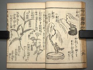 Ikebana Hayamanabi Vol.  5 Flower Arrangement Japanese Woodblock Print Book Edo
