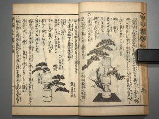 IKEBANA HAYAMANABI Vol.  5 Flower arrangement Japanese woodblock print book Edo 2