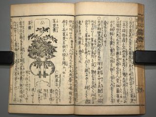 IKEBANA HAYAMANABI Vol.  5 Flower arrangement Japanese woodblock print book Edo 7