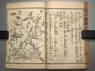 IKEBANA HAYAMANABI Vol.  5 Flower arrangement Japanese woodblock print book Edo 8