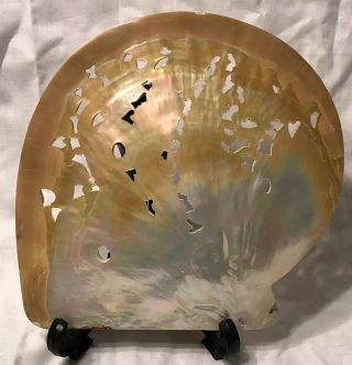 Antique Chinese Mother Of Pearl Carved Shell 8