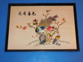 Vintage Signed Chinese Silk Peacock Bird Picture,  Framed