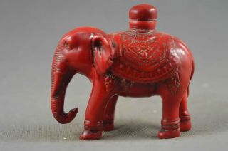 Collectable Chinese Coral Carve Elephant Souvenir Auspicious Lucky Snuff Bottle