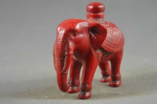 Collectable Chinese Coral Carve Elephant Souvenir Auspicious Lucky Snuff Bottle 2