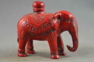 Collectable Chinese Coral Carve Elephant Souvenir Auspicious Lucky Snuff Bottle 3