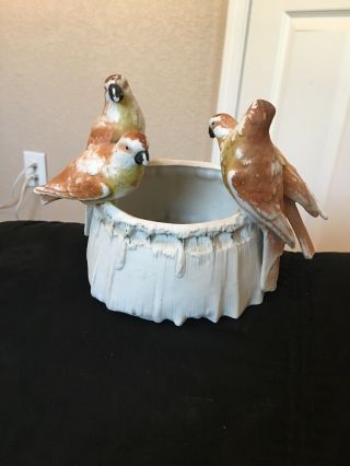 Antique Porcelain Parakeets Sitting On Bird Bath - Germany 1876 Stamped On Bottom