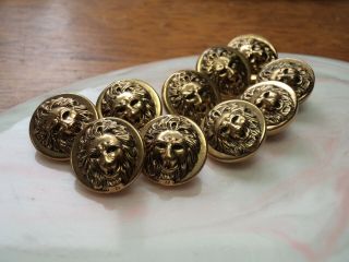 Vintage High Relief Brass 9/16 " Lion Head Buttons / Set Of 10