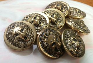 Vintage High Relief Brass 3/4 " Lion Head Buttons / Set Of 8