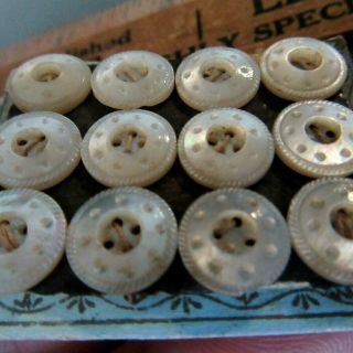 12 Antique Mother Of Pearl Tiny Buttons Matching Set Carved Whistle 4 Hole Small