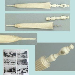 Antique Bone Parasol Needle Case W/ Stanhope Of Bognor,  West Sussex Circa 1900