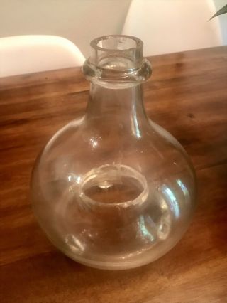 Antique Vintage Hand Blown Glass Fly Bee Catcher Trap